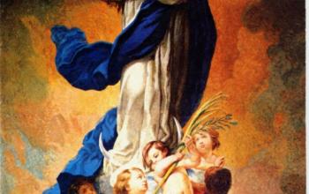 https://www.ladivinamisericordia.org/sites/default/files/field/image/0802immaculate_conception0.jpg