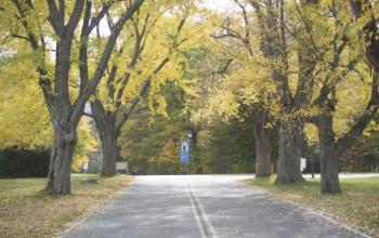 https://www.ladivinamisericordia.org/sites/default/files/field/image/1010mt_eden_hill_autumn_00.jpg