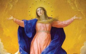 https://www.ladivinamisericordia.org/sites/default/files/field/image/assumption1.jpg