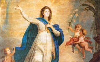 https://www.ladivinamisericordia.org/sites/default/files/field/image/assumption_web.jpg