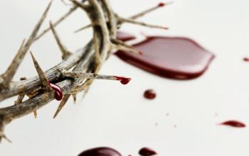 https://www.ladivinamisericordia.org/sites/default/files/field/image/crown_of_thorn.jpg