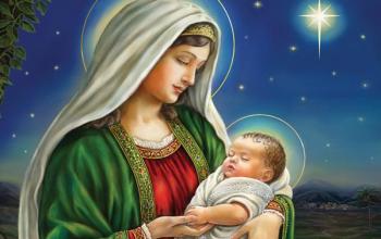 https://www.ladivinamisericordia.org/sites/default/files/field/image/mother_of_god_600x400_00000002.jpg