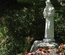 https://www.ladivinamisericordia.org/sites/default/files/field/image/0044_st_anthony_summer_01.jpg