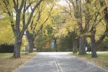 https://www.ladivinamisericordia.org/sites/default/files/field/image/1010mt_eden_hill_autumn_00.jpg