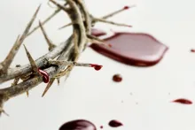 https://www.ladivinamisericordia.org/sites/default/files/field/image/crown_of_thorn.jpg