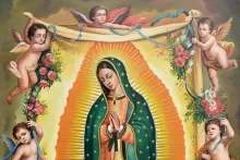 https://www.ladivinamisericordia.org/sites/default/files/field/image/guadalupe11.jpg