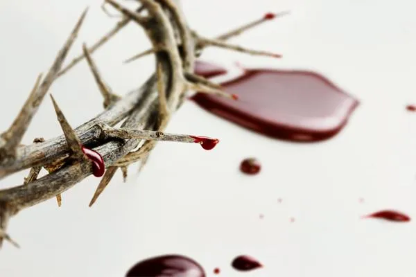 https://www.ladivinamisericordia.org/sites/default/files/field/image/crown_of_thorn.jpg